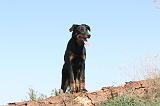 BEAUCERON 146